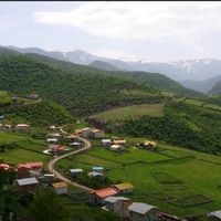 زمین ییلاقی در منطقه سوادکوه روستای پالند|فروش زمین و ملک کلنگی|تهران, نارمک|دیوار
