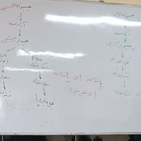 تدریس زیست ، فیزیک دروس نهایی  و مشاور کنکور|خدمات آموزشی|تهران, صادقیه|دیوار