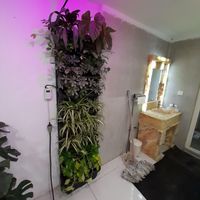 تولید و اجرای دیوار سبز طبیعی green wall|گل و گیاه طبیعی|تهران, تهران‌سر|دیوار