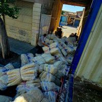 پخش عمده پوشال کولر|عمده‌فروشی|شیراز, دباغ خانه|دیوار