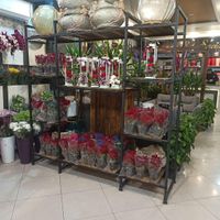فرصتی برای اشتغال|استخدام صنعتی، فنی، مهندسی|اراک, |دیوار