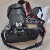 canon eos 90D kit 18-135 is usm|دوربین عکاسی و فیلم‌برداری|تهران, سبلان|دیوار