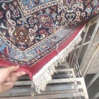 فرش ۱۲ متری لاکی کاشان|فرش|تهران, ملک‌آباد|دیوار
