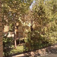 اجاره-مغازه-16-متری-و-12-متری