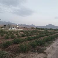 زمین-کشاورزی-در-منطقه-خوش-آب-و-هوا