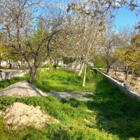 صحرا-خسروشاه-بدون-آب-سند-تقسیم-نامه-میباشد