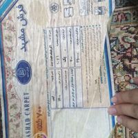 فرش ۱۲متری و یک فرش ۱در۱.۲۵ رنگ مثل هم|فرش|گلبهار, |دیوار