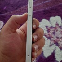 ایفون ۱۲ نرمال|موبایل|تهران, جوادیه تهرانپارس|دیوار