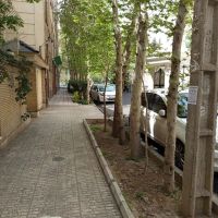 فروش-کلنگی-330متر-دیباجی-جنوبی