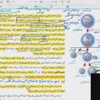 تدریس زیست ، فیزیک دروس نهایی  و مشاور کنکور|خدمات آموزشی|تهران, صادقیه|دیوار