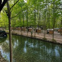 آرامش-طبیعت-آینده-ای-مطمئن