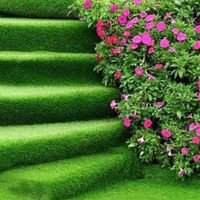 چمن مخصوص تراس روف و پله و حیاط|خدمات باغبانی و درختکاری|کرج, کمال‌شهر|دیوار