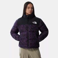 کاپشن northface زنانه|لباس|تهران, دروس|دیوار