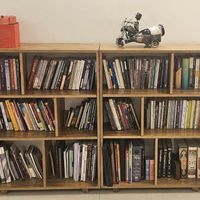 کتابخانه با روکش چوب|کتابخانه، شلف، قفسه‌های دیواری|تهران, شهرک غرب|دیوار