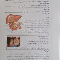 کتاب جزوه زیست شناسی رنگی ۱۴۰۴ حنیف عظیمی تاملند|کتاب و مجله آموزشی|تهران, میدان انقلاب|دیوار