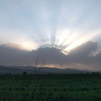 زمین-کشاورزی-برای-باغ-و-ویلا-یا-مرغداری