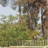 80-متر-دو-طبقه-حیاط-دار-کلنگی