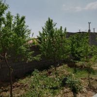 باغچه-480-متری-ملکی