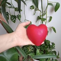 حباب قلبی چراغ خواب،حباب چراغ خواب|چراغ خواب و آباژور|مشهد, الهیه|دیوار