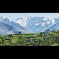 سرایدار