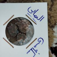سکه الیمایی بکر|کلکسیون اشیاء عتیقه|تهران, استاد معین|دیوار