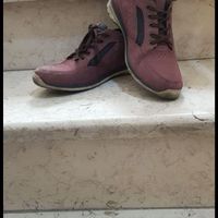 تعدادی کفش چرم و آمریکایی تیمبرلند Timberland|حراج|تهران, نواب|دیوار