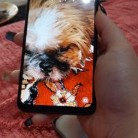 سامسونگ Galaxy A50 ۱۲۸ گیگابایت|موبایل|تهران, گمرک|دیوار