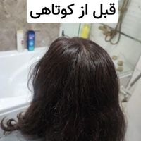 کوتاهی مو درمنزل شما|خدمات آرایشگری و زیبایی|تهران, اباذر|دیوار