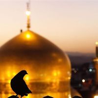 تور هوایی مشهد/تور ریلی مشهدبا قطار/تور زمینی مشهد|تور و چارتر|شیراز, ریشمک|دیوار