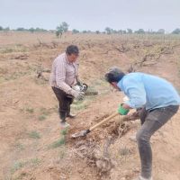 زمین-باغی-زراعی-سند-تک-برگ-معاوظه-با-همه-چی