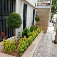 خدمات باغبانی گلکاری باغچه تعویض خاک گل شخم سمپاشی|خدمات باغبانی و درختکاری|تهران, جنت‌آباد جنوبی|دیوار