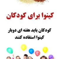 کینوا ...خاویار گیاهی|خوردنی و آشامیدنی|تهران, امامزاده حسن(ع)|دیوار