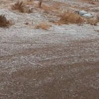 فروش-زمین