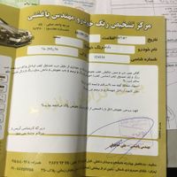 پژو پارس ساده، مدل ۱۳۹۳|خودرو سواری و وانت|مشهد, قاسم‌آباد (شهرک غرب)|دیوار