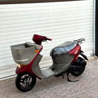 سوزوکی بسکت سبد دار انژکتور ژاپنی پاکشتی 50cc|موتورسیکلت|تهران, گمرک|دیوار