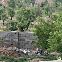 باغ ویلا به متراژ ۱۵هزار متر|فروش دفتر صنعتی، کشاورزی، تجاری|مشهد, شهرک ابوذر|دیوار