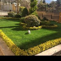 سمپاشی وهرستکاری و باغبانی در همه نقاط تهران|خدمات باغبانی و درختکاری|تهران, نیاوران|دیوار