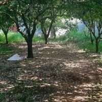 زمین-بافت-در-بندپی-غربی-335متری