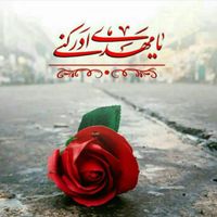 کربلا هوایی و زمینی اقساطی|تور و چارتر|تهران, بریانک|دیوار