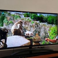 LED 55 LG 4K|تلویزیون و پروژکتور|تهران, تهرانپارس شرقی|دیوار