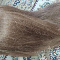 کله مانکن نو|آرایشی، بهداشتی، درمانی|تهران, فلاح|دیوار