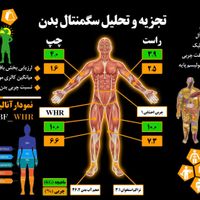 دستگاه آنالیز بدن bc601 بهمراه استند|تجهیزات ورزشی|تهران, اختیاریه|دیوار