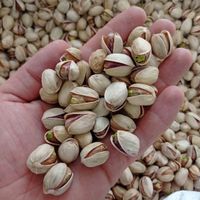 پسته کله قوچی|خوردنی و آشامیدنی|تهران, شهرک پرواز|دیوار