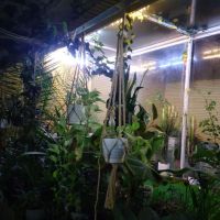 فروش-خانه