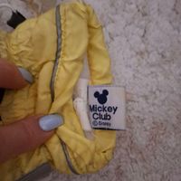 دستکش اسکس مارک Mickey Club|ورزش‌های زمستانی|تهران, دانشگاه علم و صنعت|دیوار