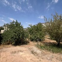 560متر-باغ