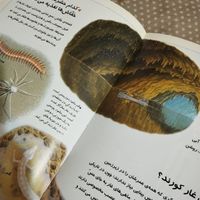 کتاب دایرة المعارف چراهای شگفت انگیز|کتاب و مجله آموزشی|تهران, مهرآباد جنوبی|دیوار