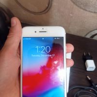 اپل iPhone 6 ۱۶ گیگابایت سالم شارژر کارتن انتقال|موبایل|تهران, ابوذر (منطقه ۱۵)|دیوار