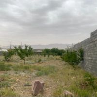 700-متر-باغچه-یک-طرف-دیوار