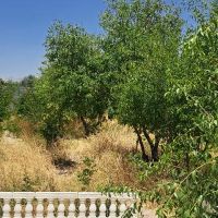 فروش-زمین-زیداباد-املاک-شاکری